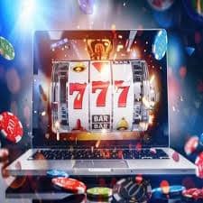 5566bet